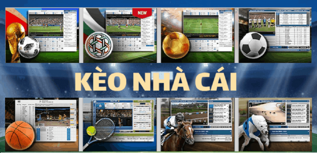 Bí kíp soi kèo nhà cái từ các chuyên gia