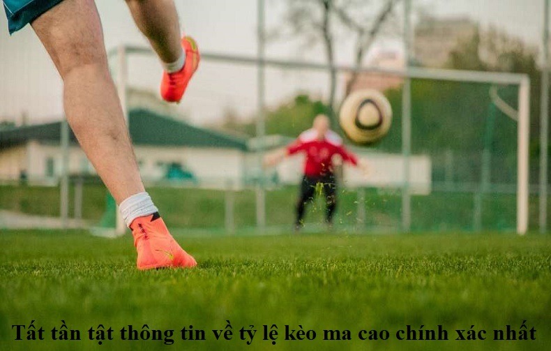tat-tan-tat-thong-tin-ve-ty-le-keo-ma-cao-chinh-xac-nhat