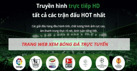 Hướng dẫn cách xem bóng đá trên điện thoại