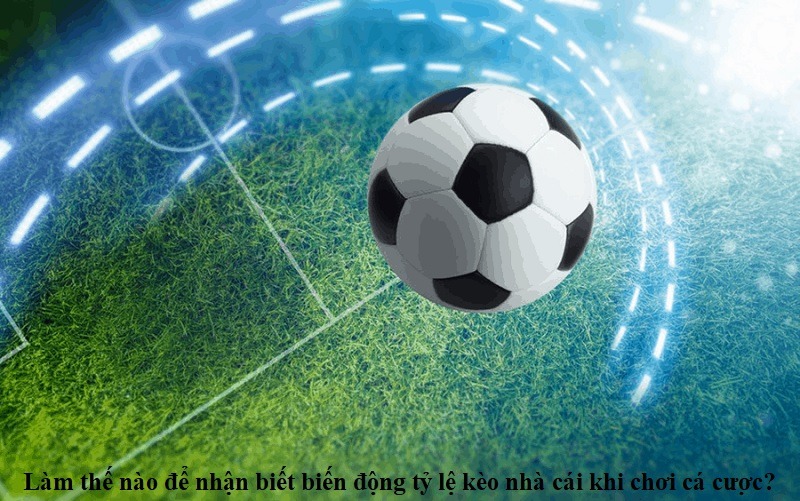 lam-the-nao-de-nhan-biet-bien-dong-ty-le-keo-nha-cai-khi-choi-ca-cuoc