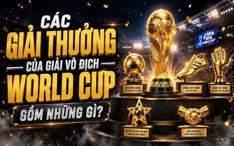 Tất Cả Các Giải Thưởng Của Giải Vô Địch Bóng Đá Thế Giới 