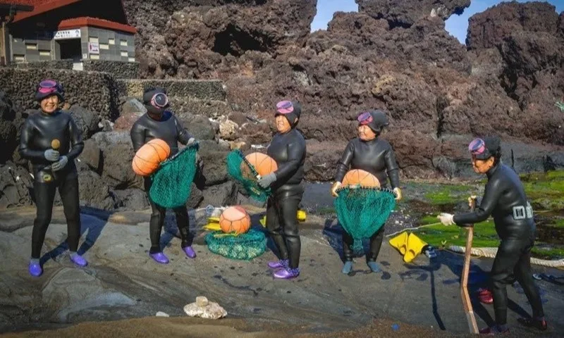 dao jeju han quoc